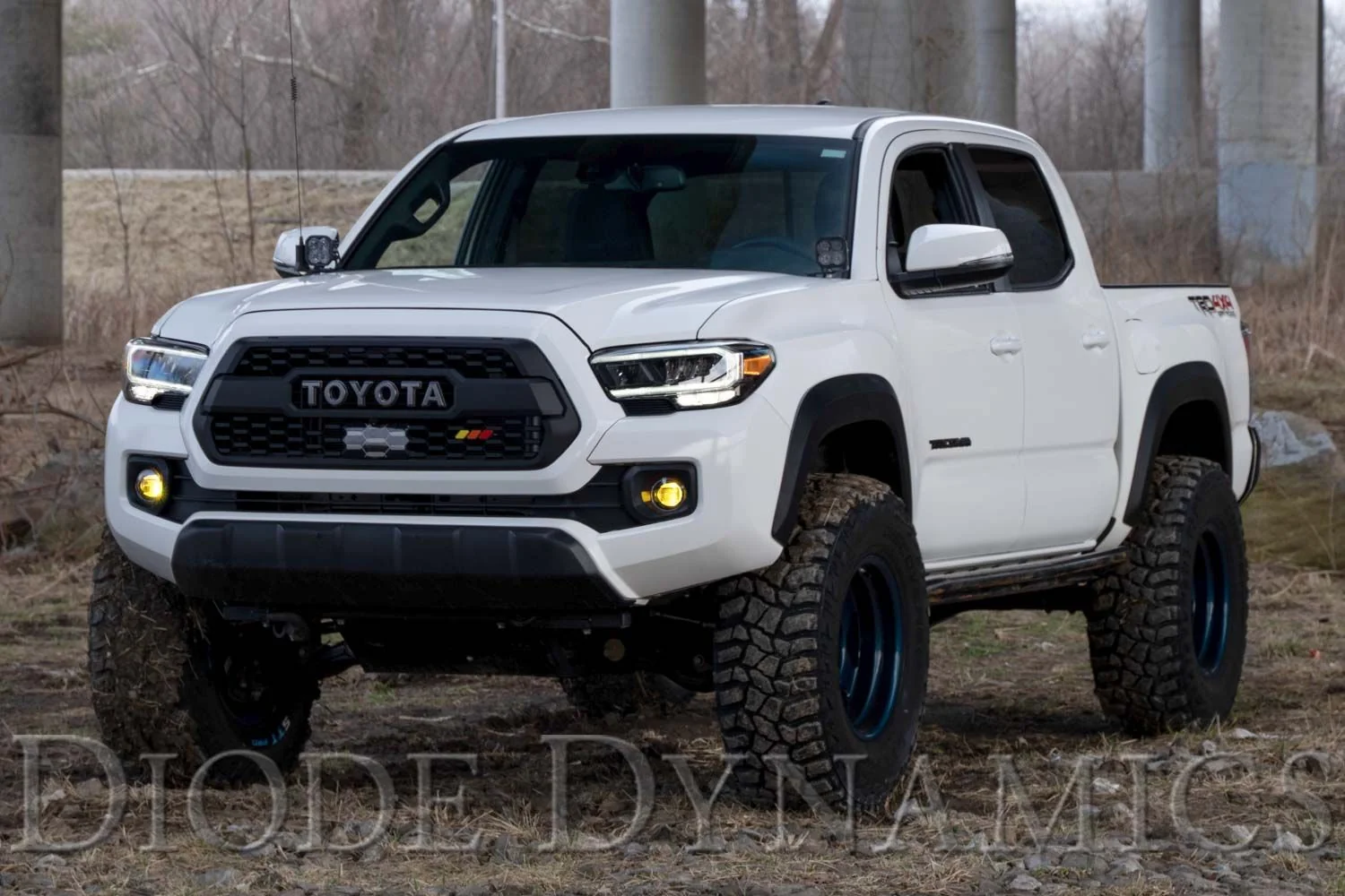 Diode Dynamics Elite Series Fog Lamps For Tacoma (2012-2023) - Image 3
